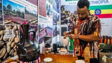 Economic, trade ties expand through coffee at China-South Asia Expo-Xinhua