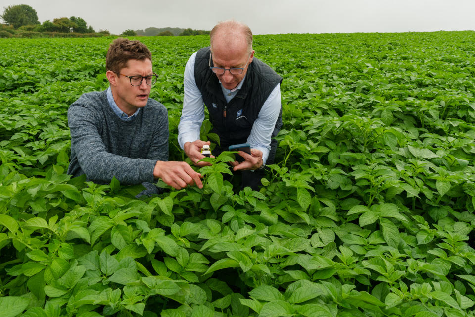 Yara’s digital tools offering, including AtFarm, will be key in scaling up sustainable nutrient management practices and complement PepsiCo’s tools.